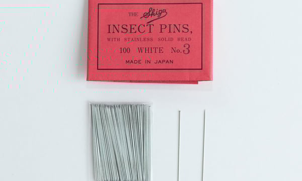 昆虫標本道具店 byカモシカ商店