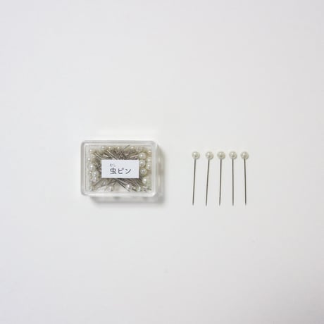 【昆虫標本キット】自由研究にオススメ！必要な道具がすべてそろっているから初心者でも安心 - Insect Specimen Kit