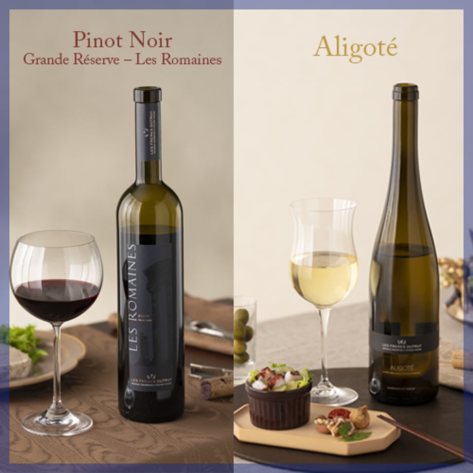 5c780b16e0c0223fe25338cb