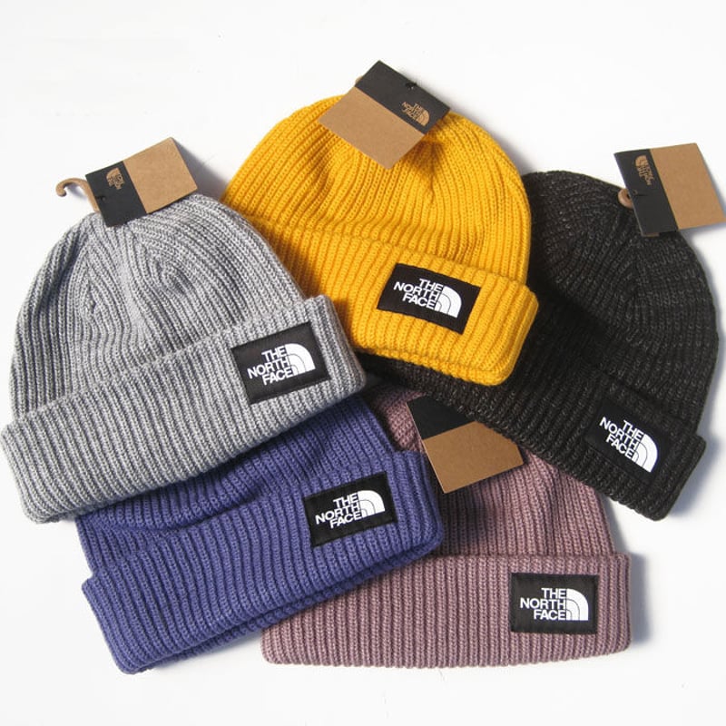 THE NORTH FACE Salty Dog Lined Beanie SHORT USモ...