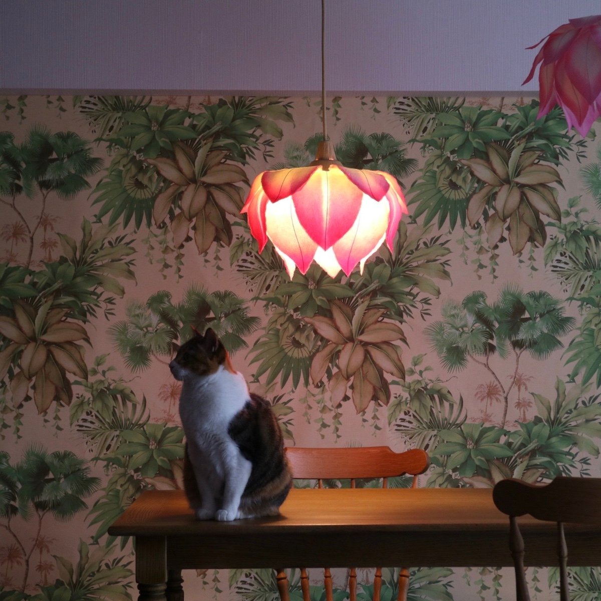 蓮／Lサイズ | Lamps&Garden