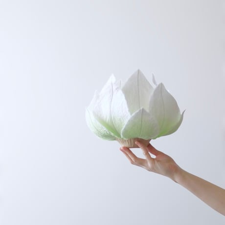 蓮／Sサイズ