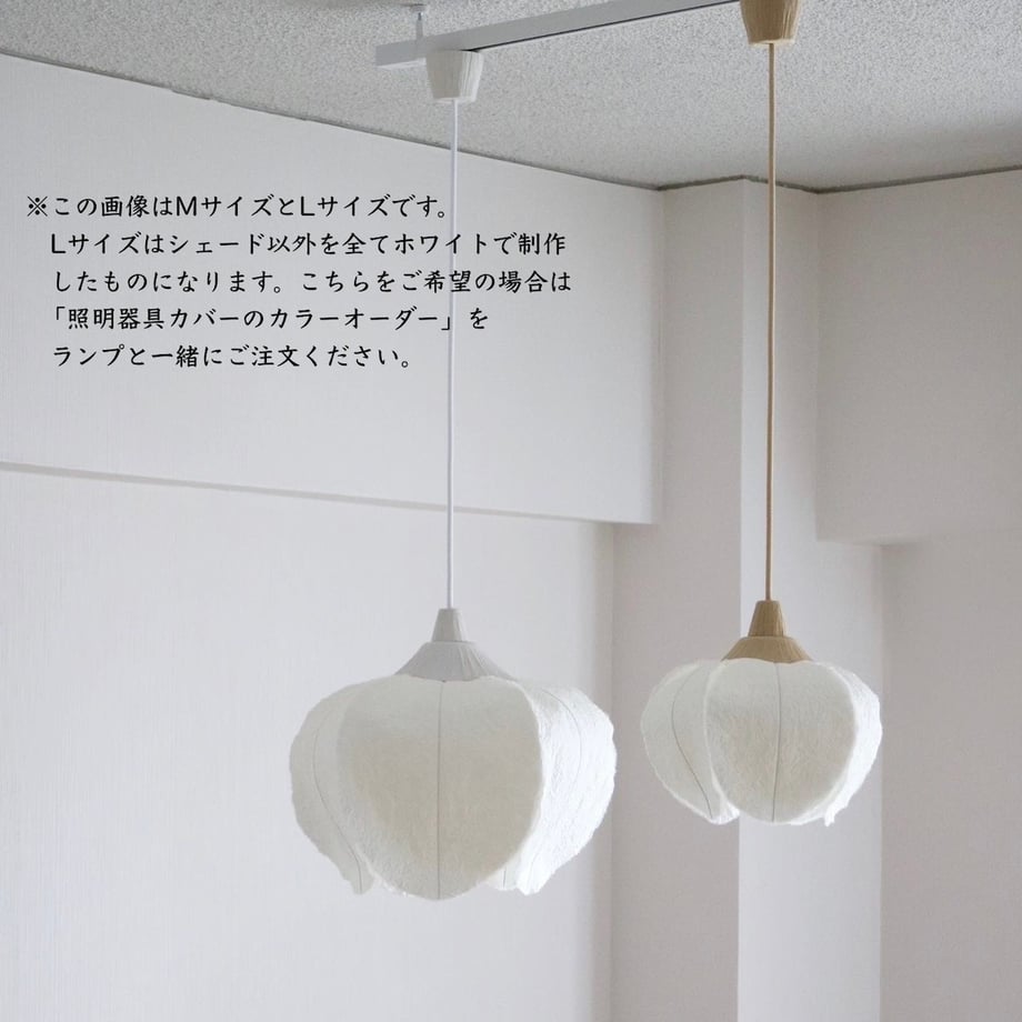 5cc94b28f897543c9cb52cd1