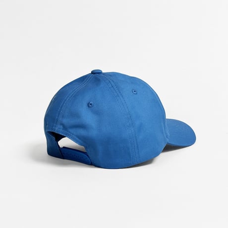 LSD Cap (Blue)