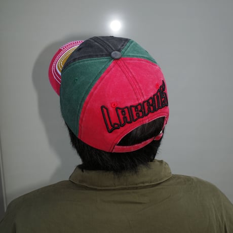 Back Panel Logo Cap (Multi)