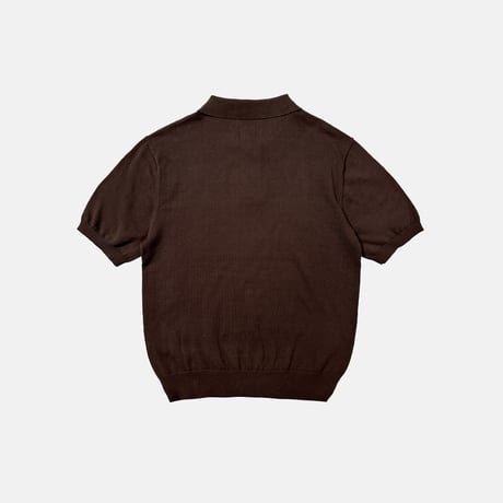 Stripe Logo Knit Polo (Brown)