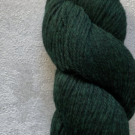 [Cascade] Cascade 220 - 9447(Forest Heather)