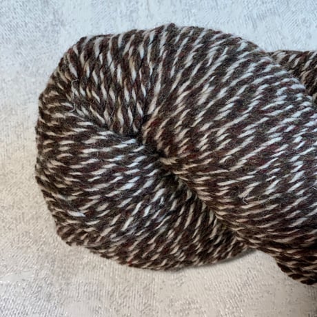 [Cascade] Eco Merino DK 09 Chocolate Swirl