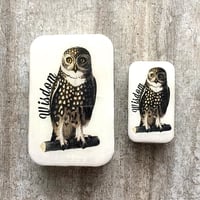[FireflyNotes] Tin Small Wise Owl