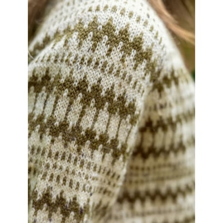 英文パターン付キット Kleiva Cardigan from 2410 Norske Ikoner