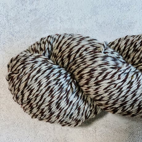 [Cascade] Eco Merino DK 08 Ammonite