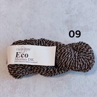 [Cascade] Eco Merino DK 09 Chocolate Swirl