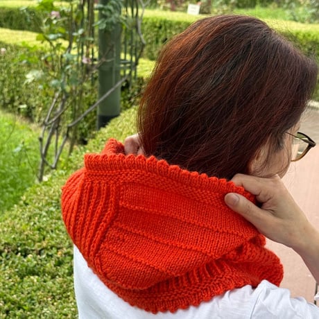 Frill Hoodie