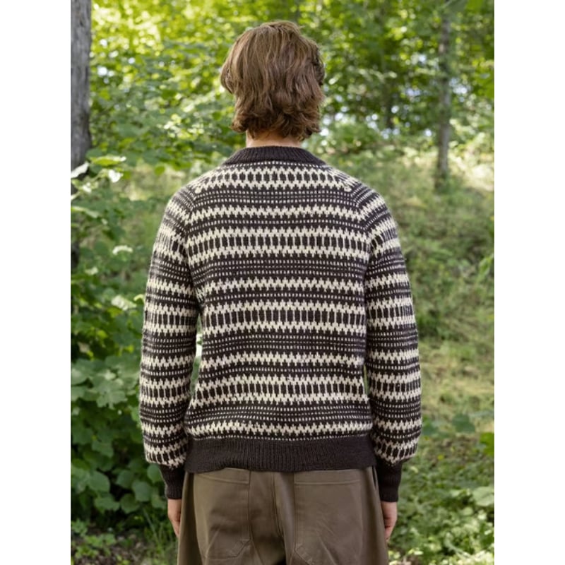 翻訳編図付キット Kleiva Sweater for Men from 2410 Norsk