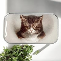 [FireflyNotes] Tin Large Cat Vintage