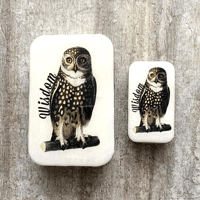 [FireflyNotes] Tin Large Wise Owl