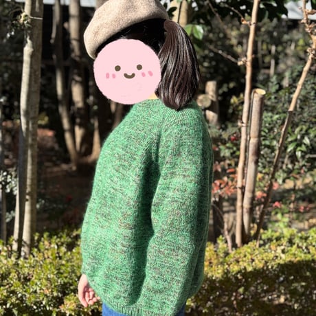 日本語文章パターン付キット Monday Sweater Heritage6 Hand Paints version