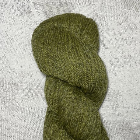 [Cascade] Cascade 220 - 2452(Turtle)
