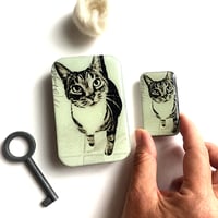 [FireflyNotes] Tin Small Cat