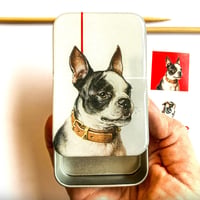 [FireflyNotes] Tin Large Boston Terrier