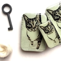 [FireflyNotes] Tin Large Cat