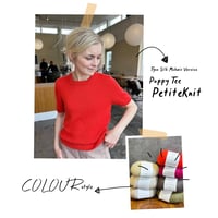 日本語文章パターン付キット Poppy Tee Tynn Silk Mohair version