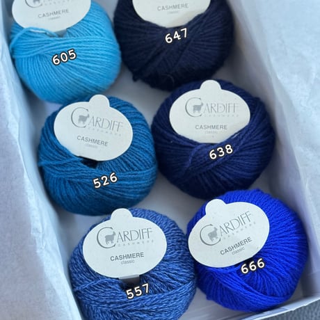[Cardiff] Classic - 638 (Indaco)