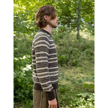 日本語文章パターン付キット Kleiva Sweater for Men from 2410 Norske Ikoner
