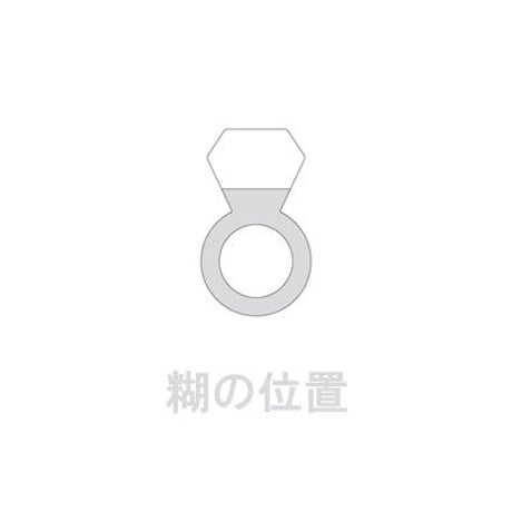 RING-IT（YP）