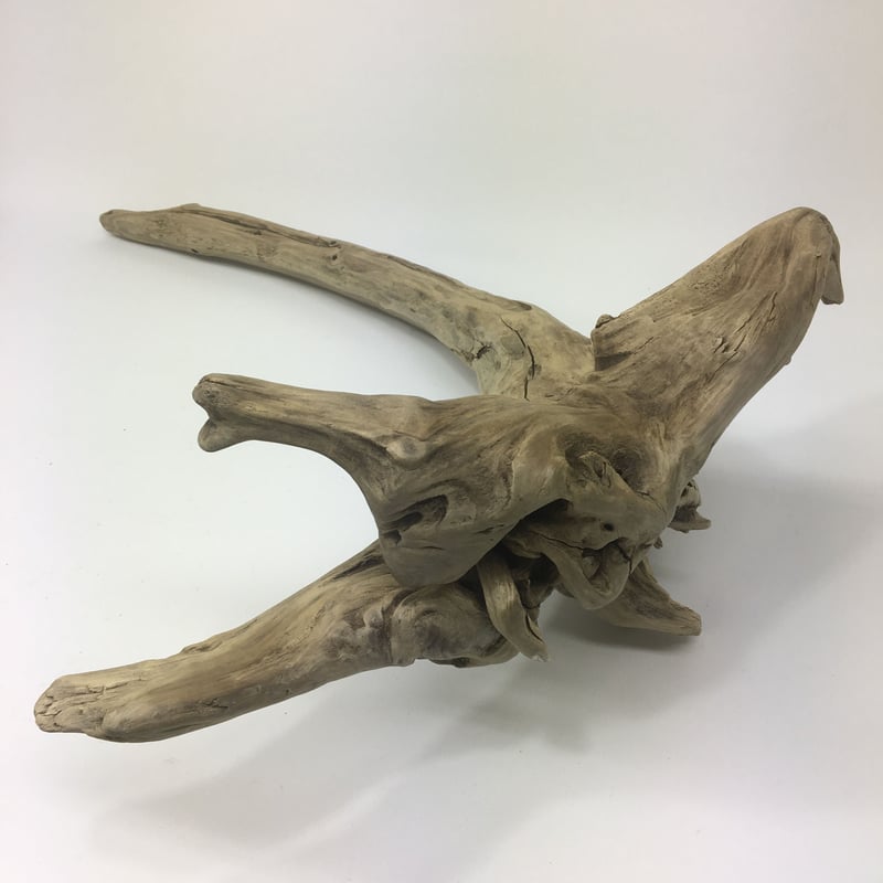 水槽関連】流木セット1