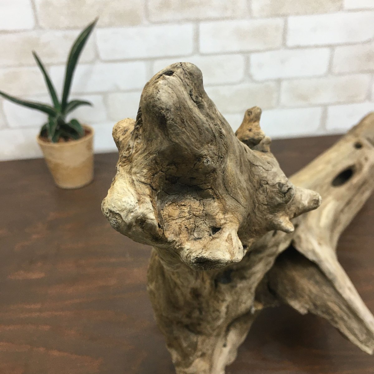 流木インテリア 天然流木のランプスタンド 置物 北欧 照明 ランタン