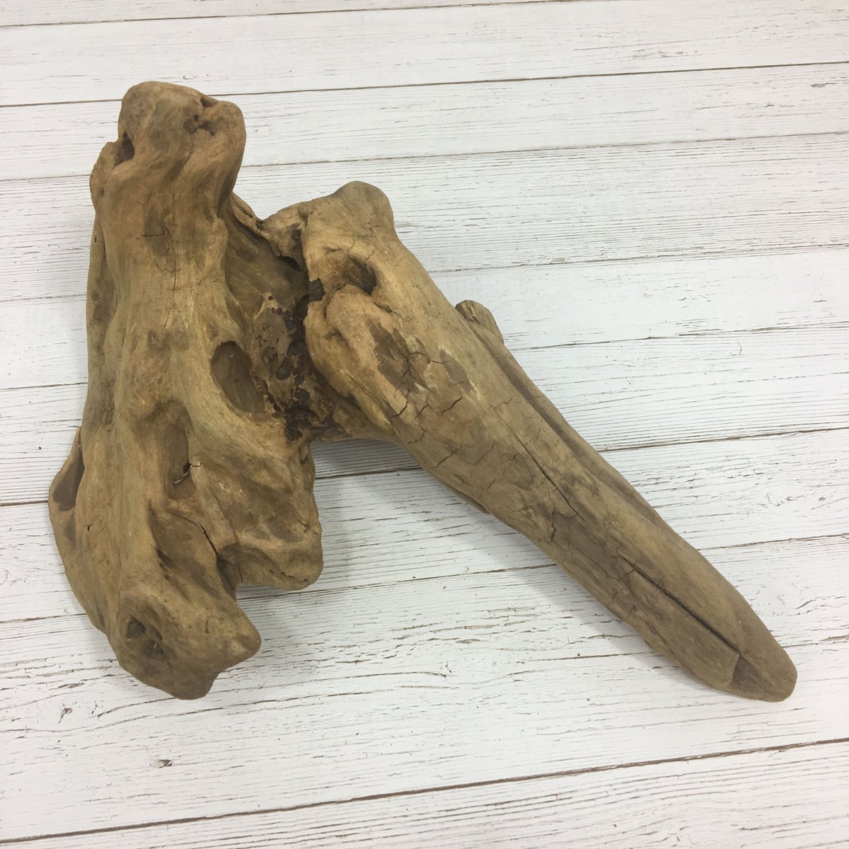 流木のかけら(大) オブジェ インテリア KL18010 | 流木販売 流木のかけら(大) オブジェ インテリア KL18010 | 流木販売