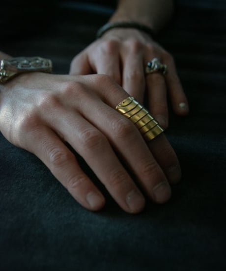 ferric "Armer ring"