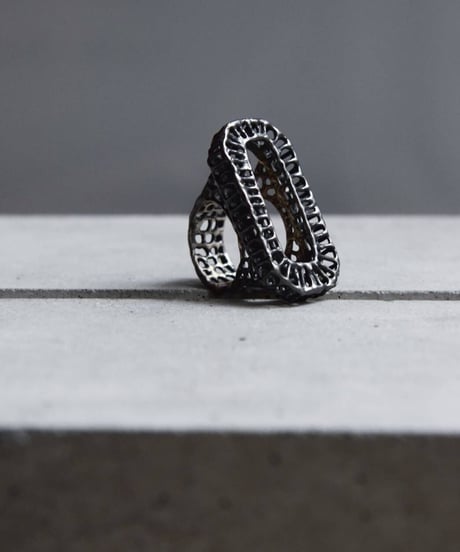 Ferric "Wire ring" (Frame)