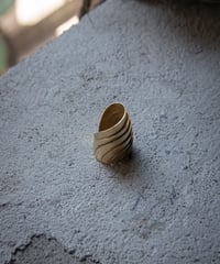 ferric "Armer ring"