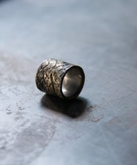 Ferric "Burned D.Scale Ring”