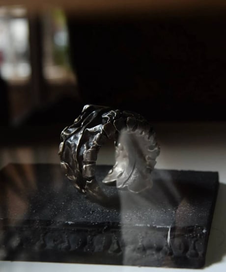 Ferric "Iron × silver gravity bangle" Big & Medium.