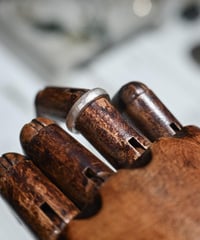 ferric "Needle  ring"