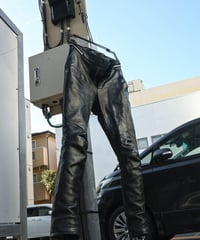 WILDFRÄULEIN "Leather pants" Horse hide.