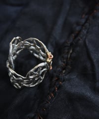 ferric "Fossilization bangle"