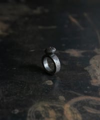 Ferric “Magic Mash room Ring”