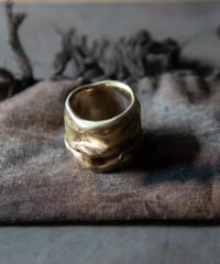 Ferric ''Gravity ring'' 杢目金