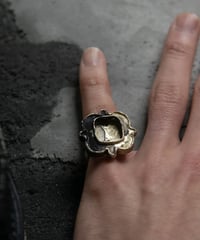 Ferric "Coexist with nature"