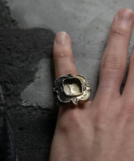 Ferric "Coexist with nature"