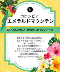 コロンビア・エメラルドマウンテン（100g）