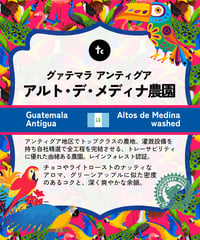 グアテマラ　アンティグア　アルト・デ・メディナ農園（100g）