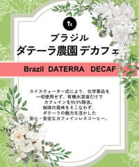 ブラジル ダテーラ農園 デカフェ（100g）