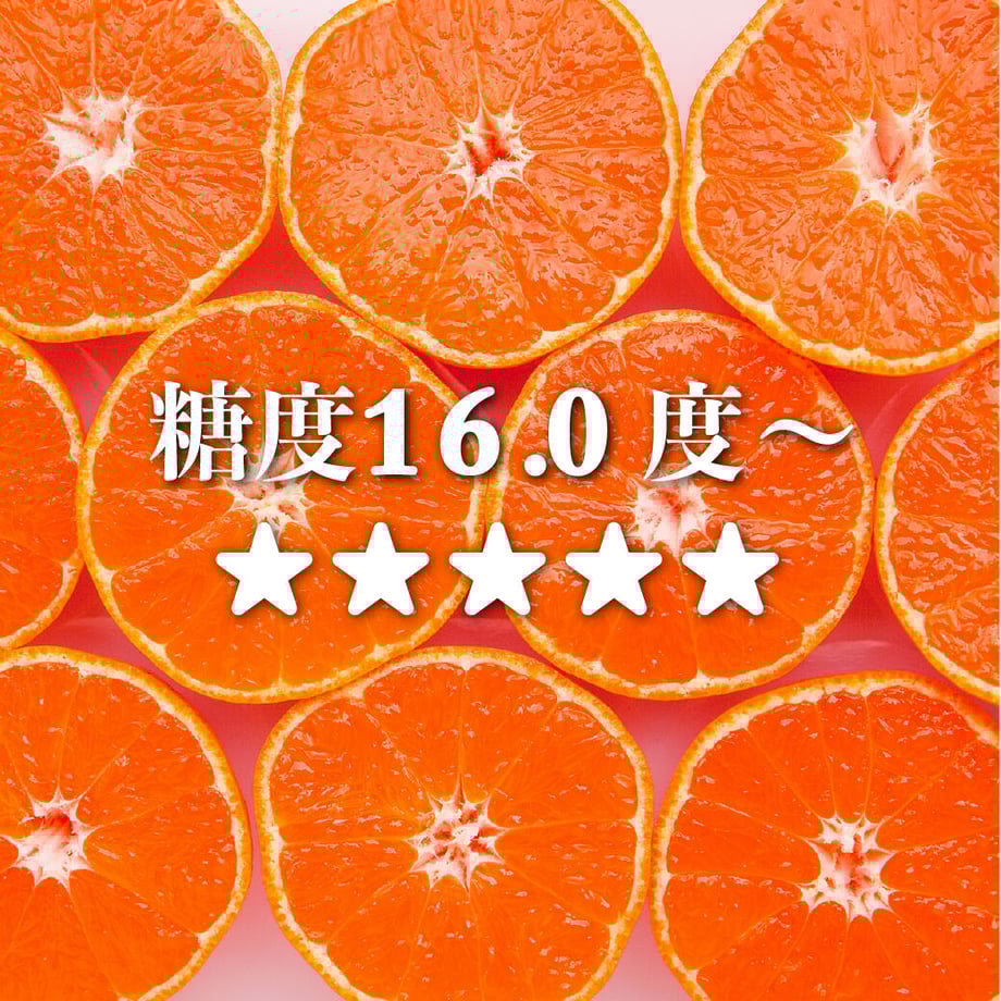 5ff46a67f0b108065a27d943