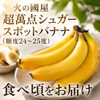 【食べごろでお届け】超萬点シュガースポットバナナ（6本）品質保証 アタゴ屈折糖度計測定済