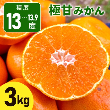 お手頃価格！極甘みかん（糖度13度）3Kg ※大きさの指定はできません